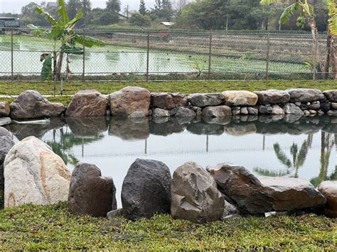 花園水池|大義絕美水池庭園景觀